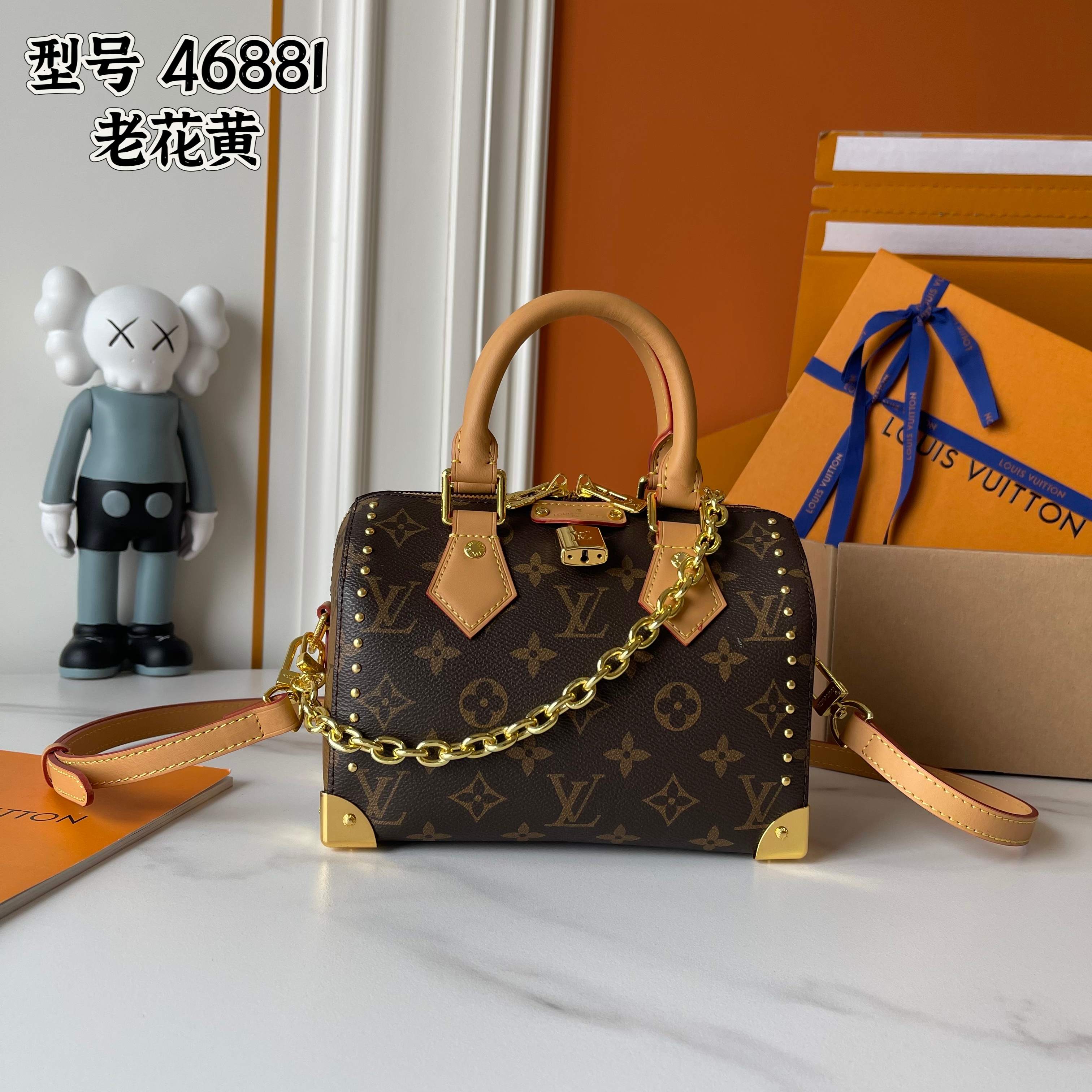 New Luxury LV Bag 9681