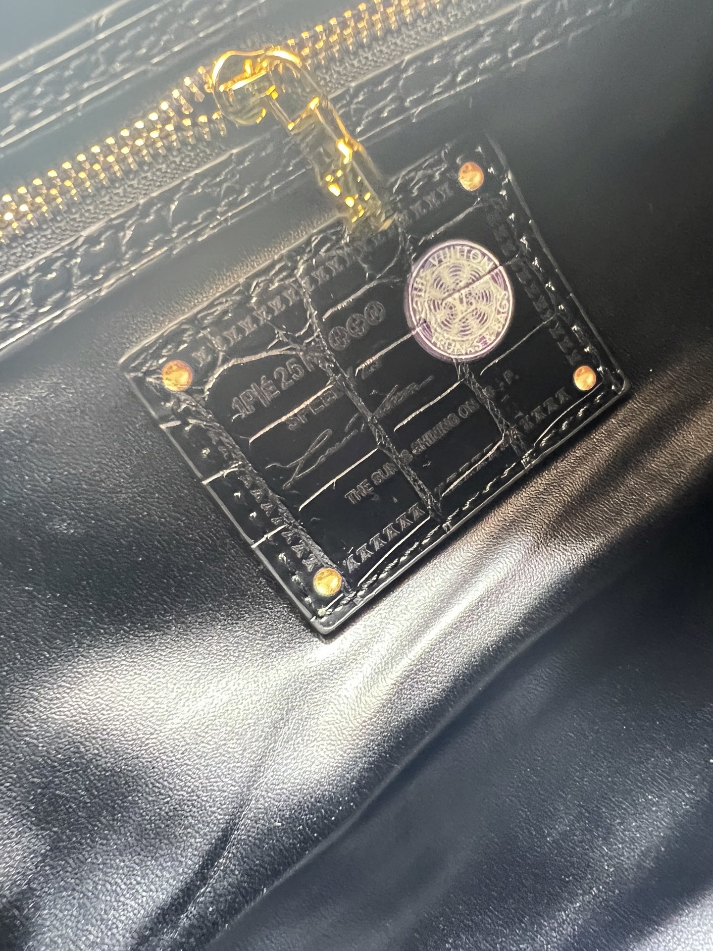 New Luxury LV Bag 10003