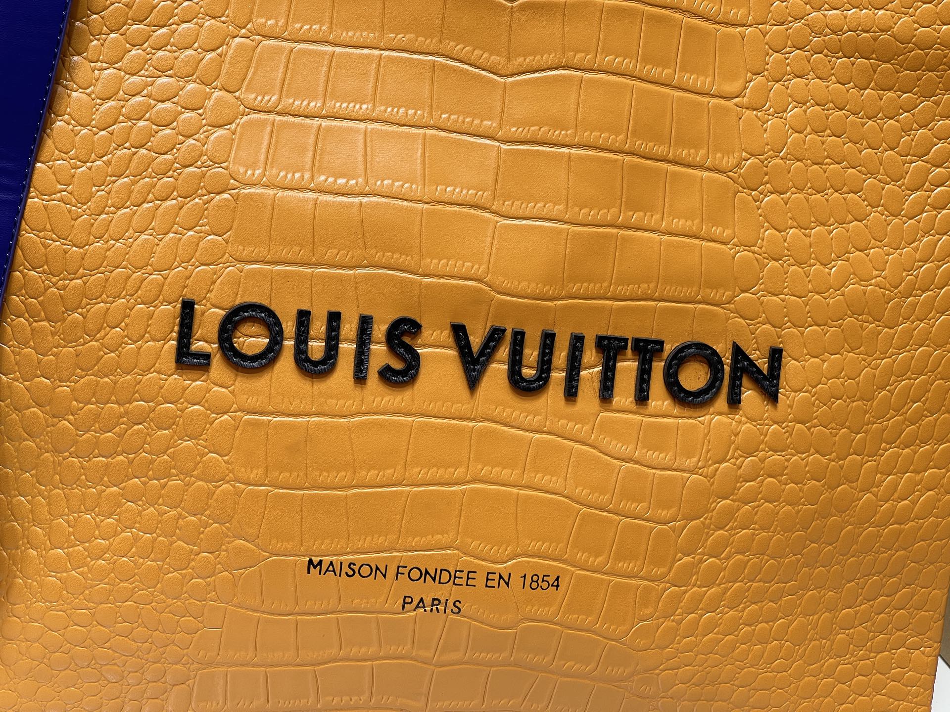 New Luxury LV Bag 10006