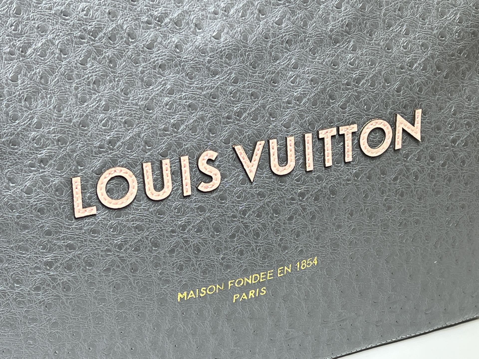 New Luxury LV Bag 10012