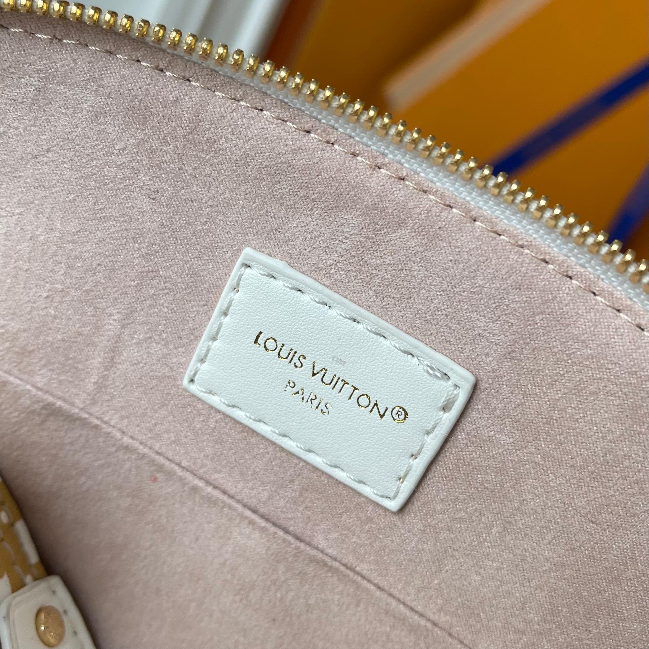 New Luxury LV Bag 10037