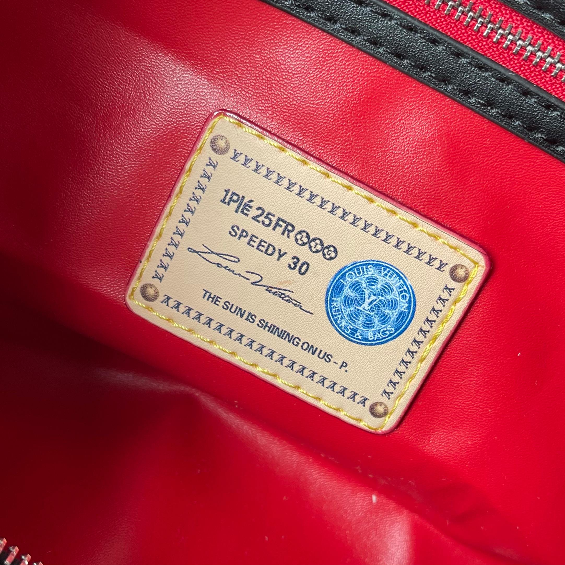 New Luxury LV Bag 10041