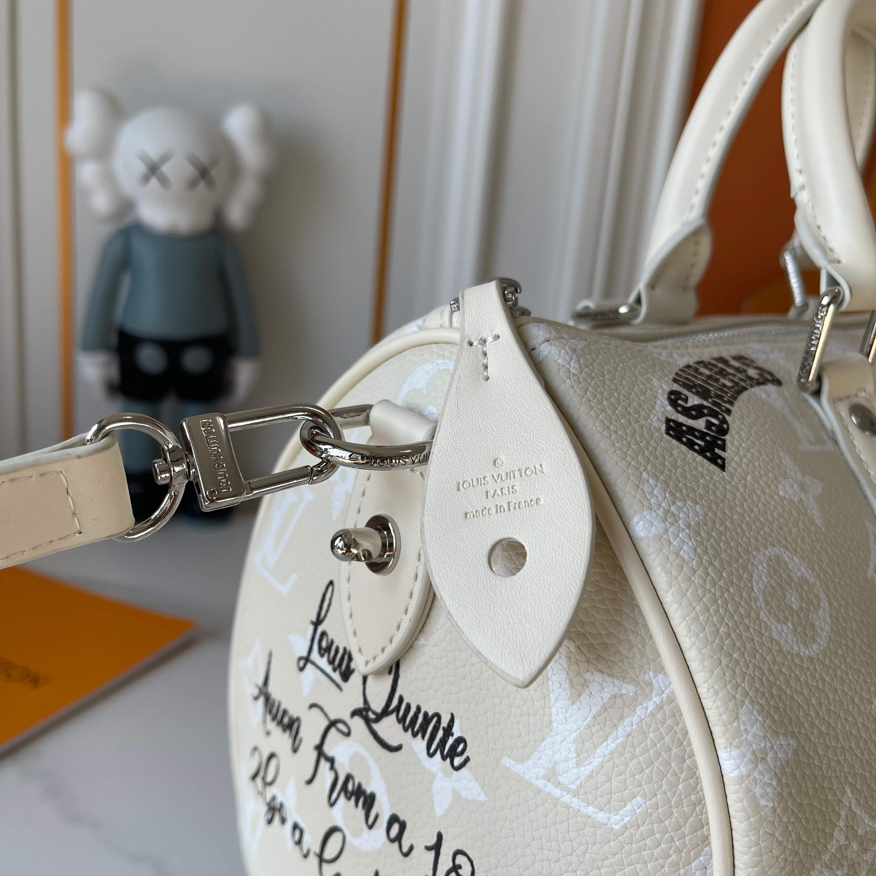 New Luxury LV Bag 10045