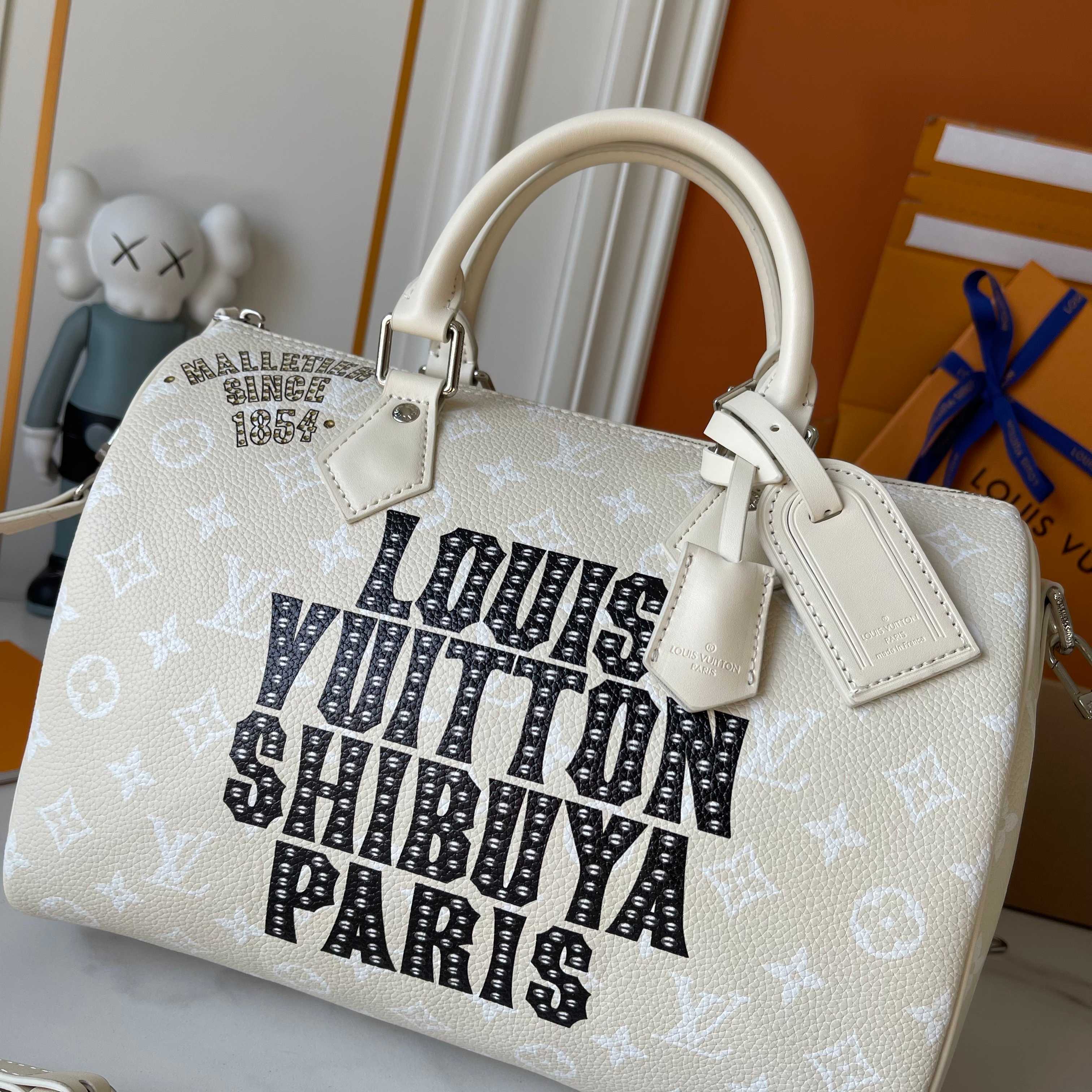 New Luxury LV Bag 10046