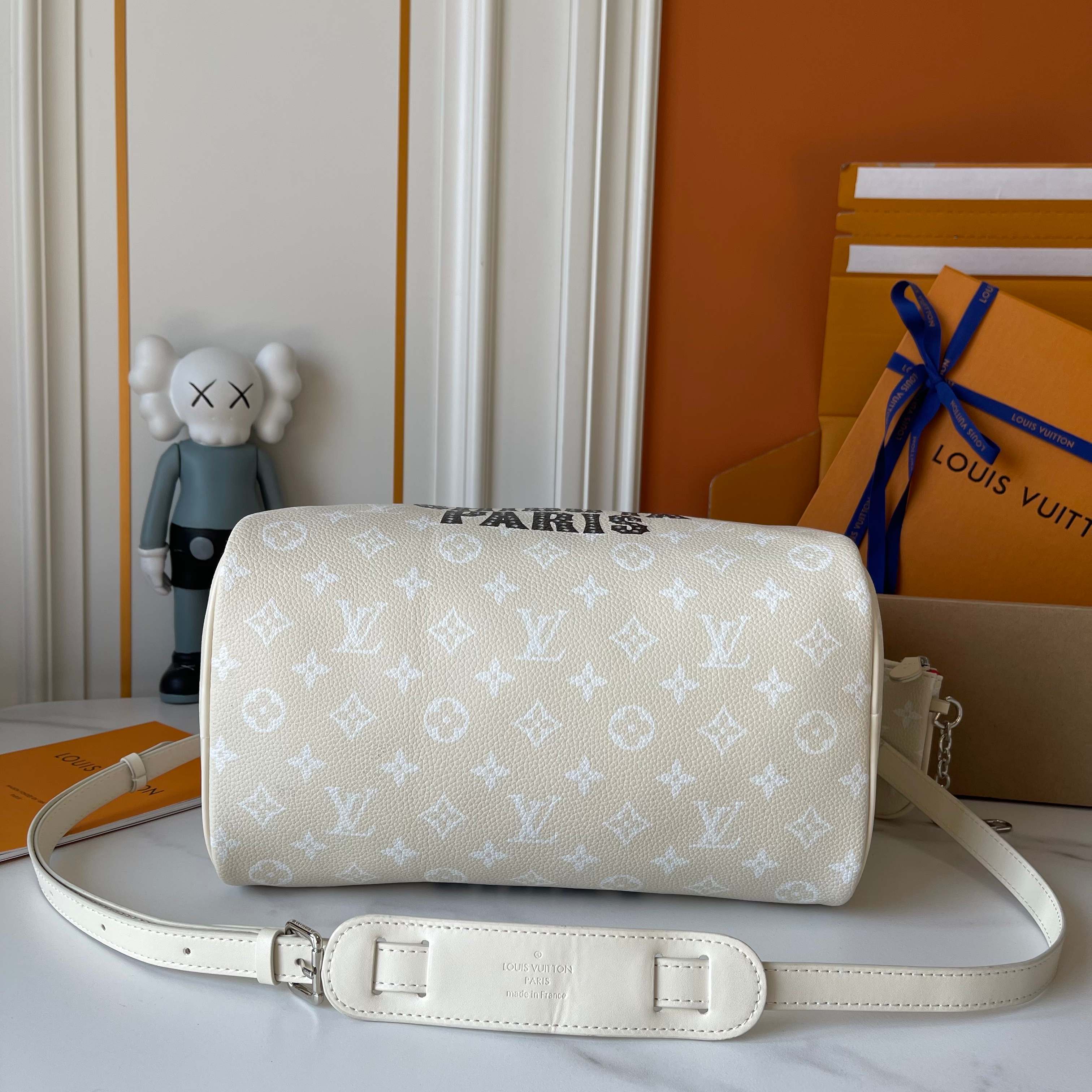 New Luxury LV Bag 10046