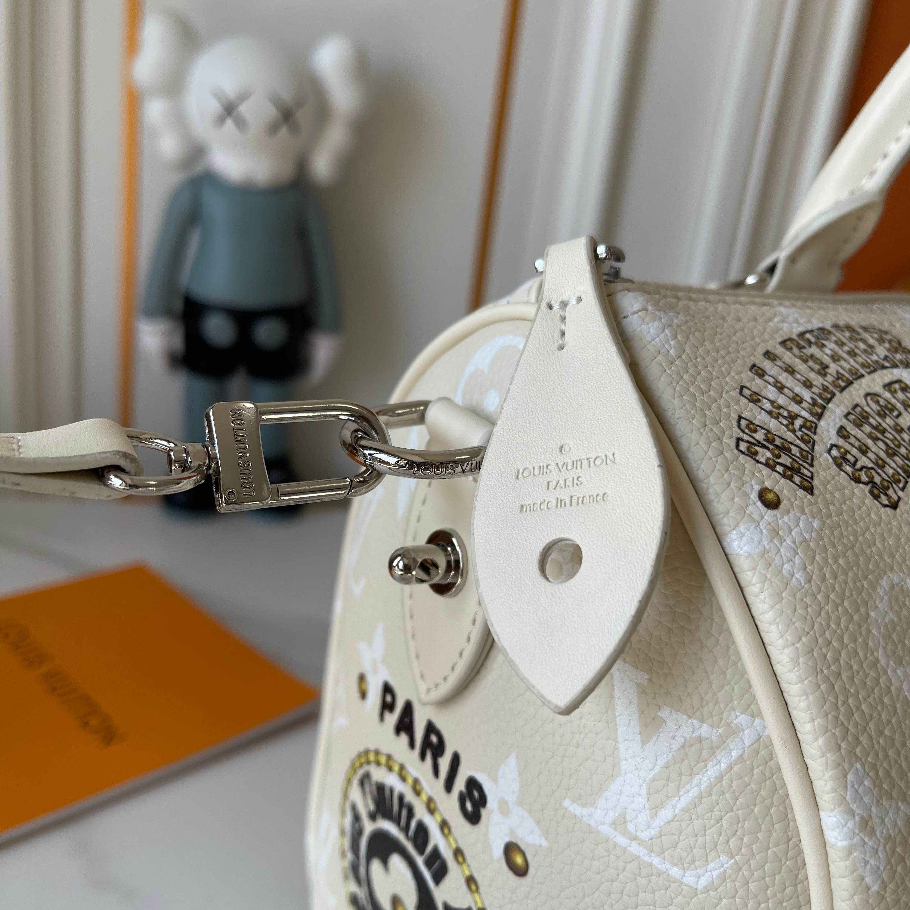 New Luxury LV Bag 10046