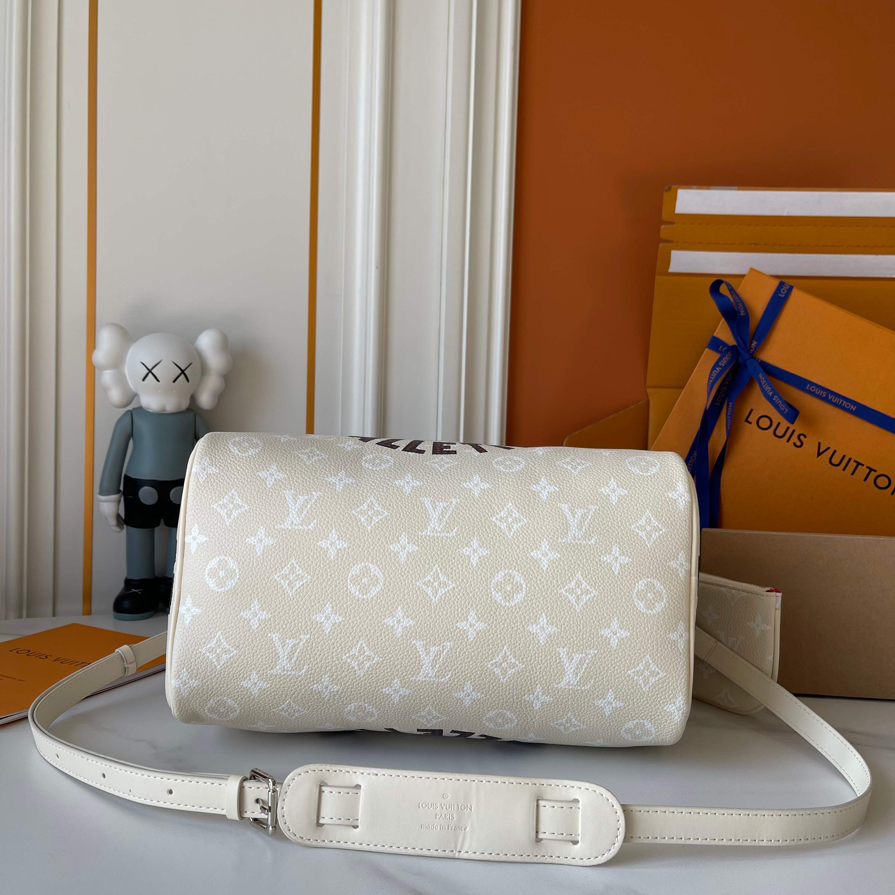 New Luxury LV Bag 10047