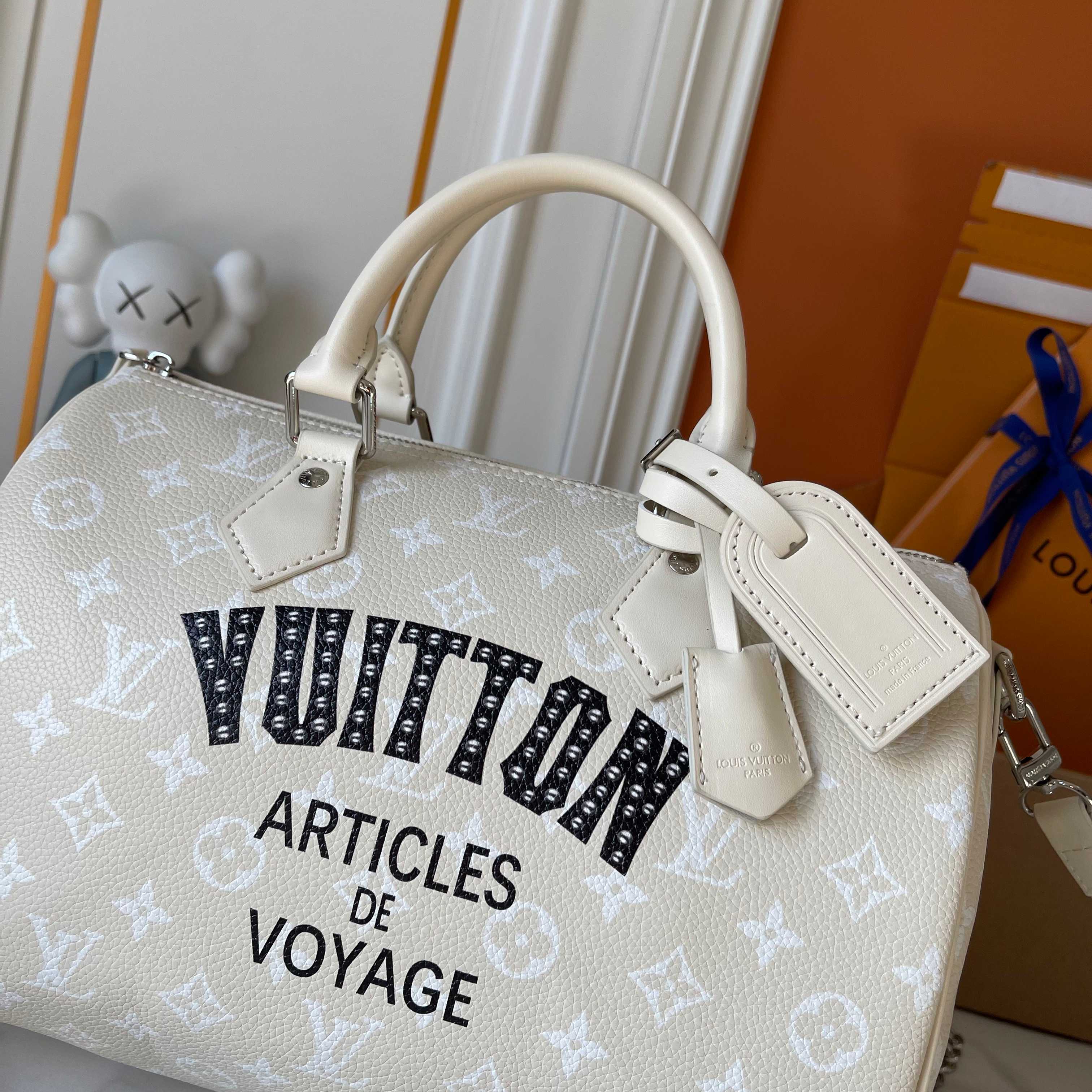 New Luxury LV Bag 10048