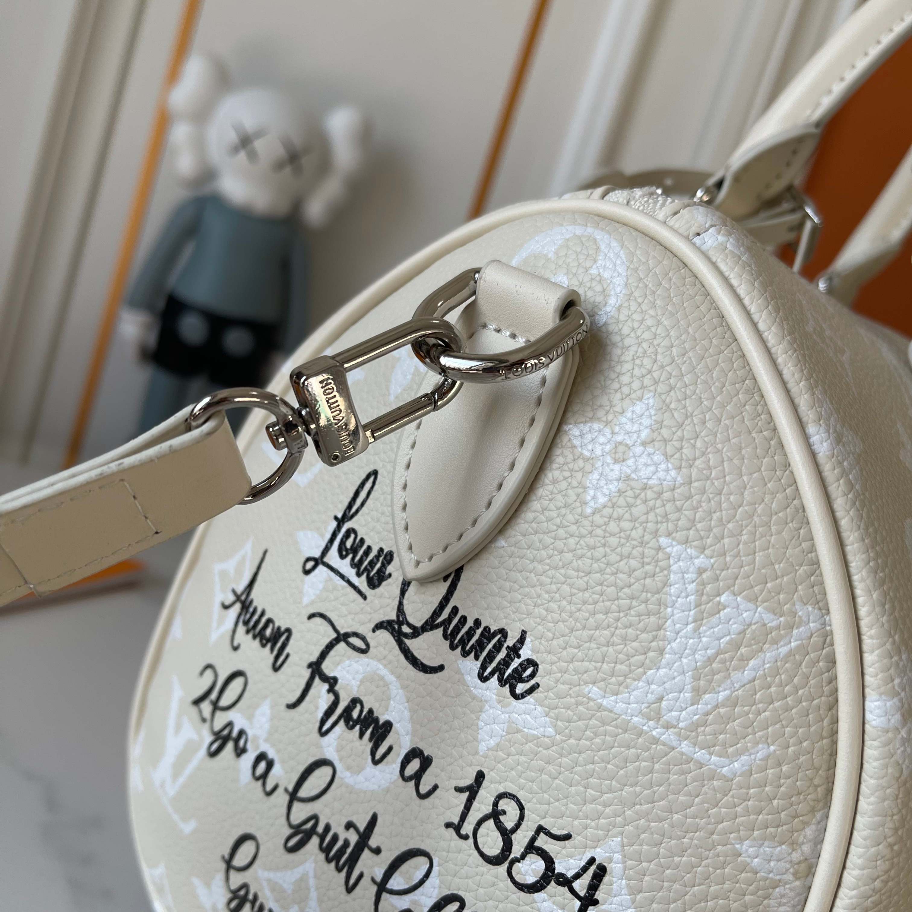 New Luxury LV Bag 10048