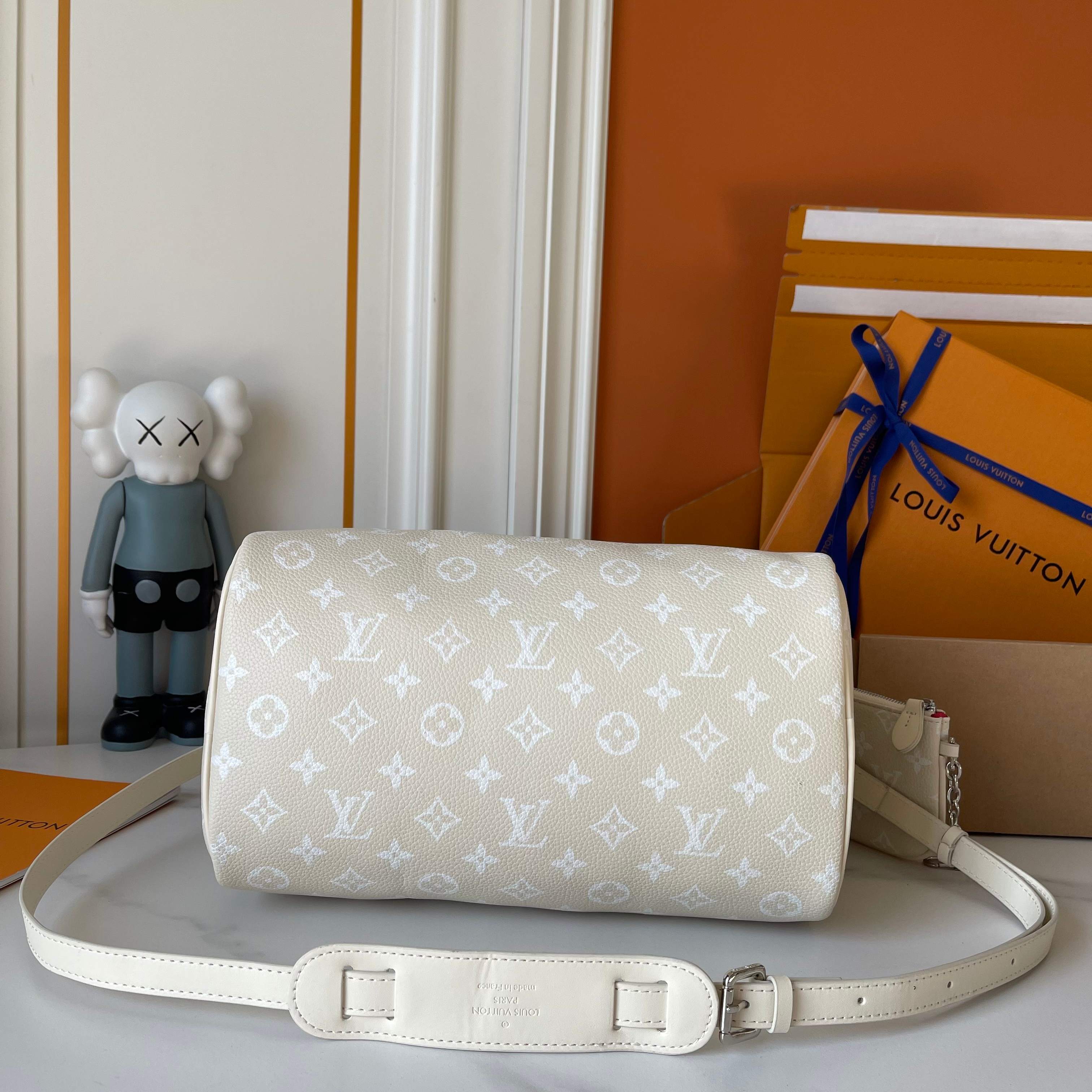New Luxury LV Bag 10048