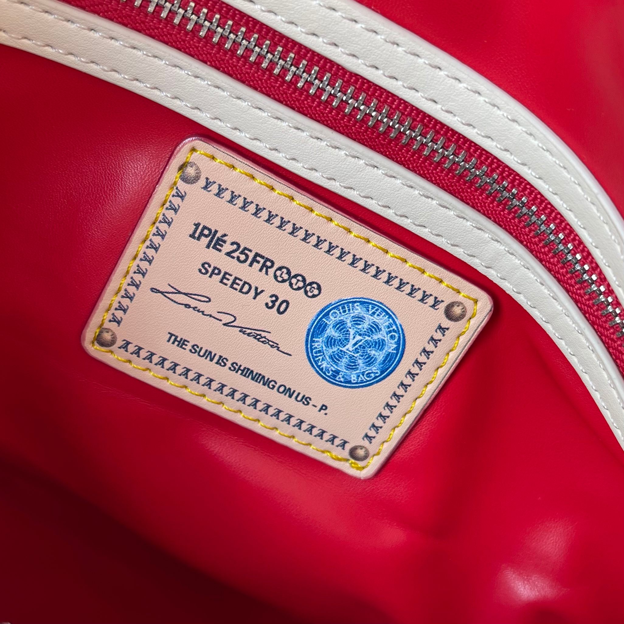 New Luxury LV Bag 10048