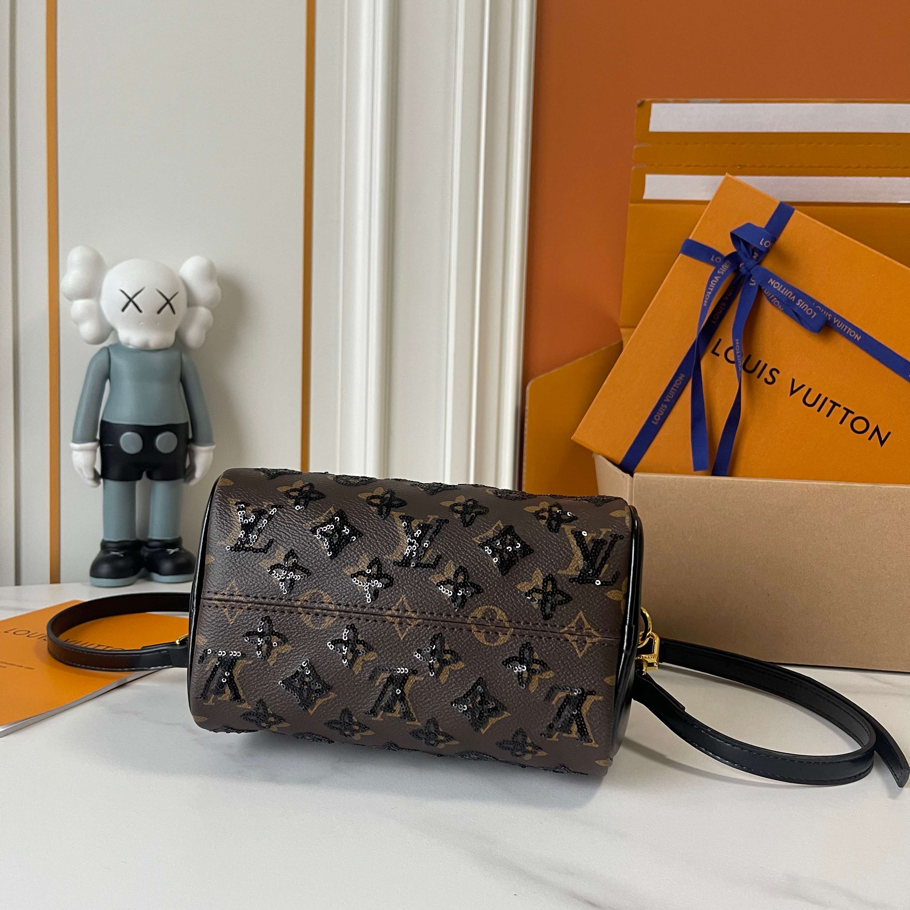 New Luxury LV Bag 10066