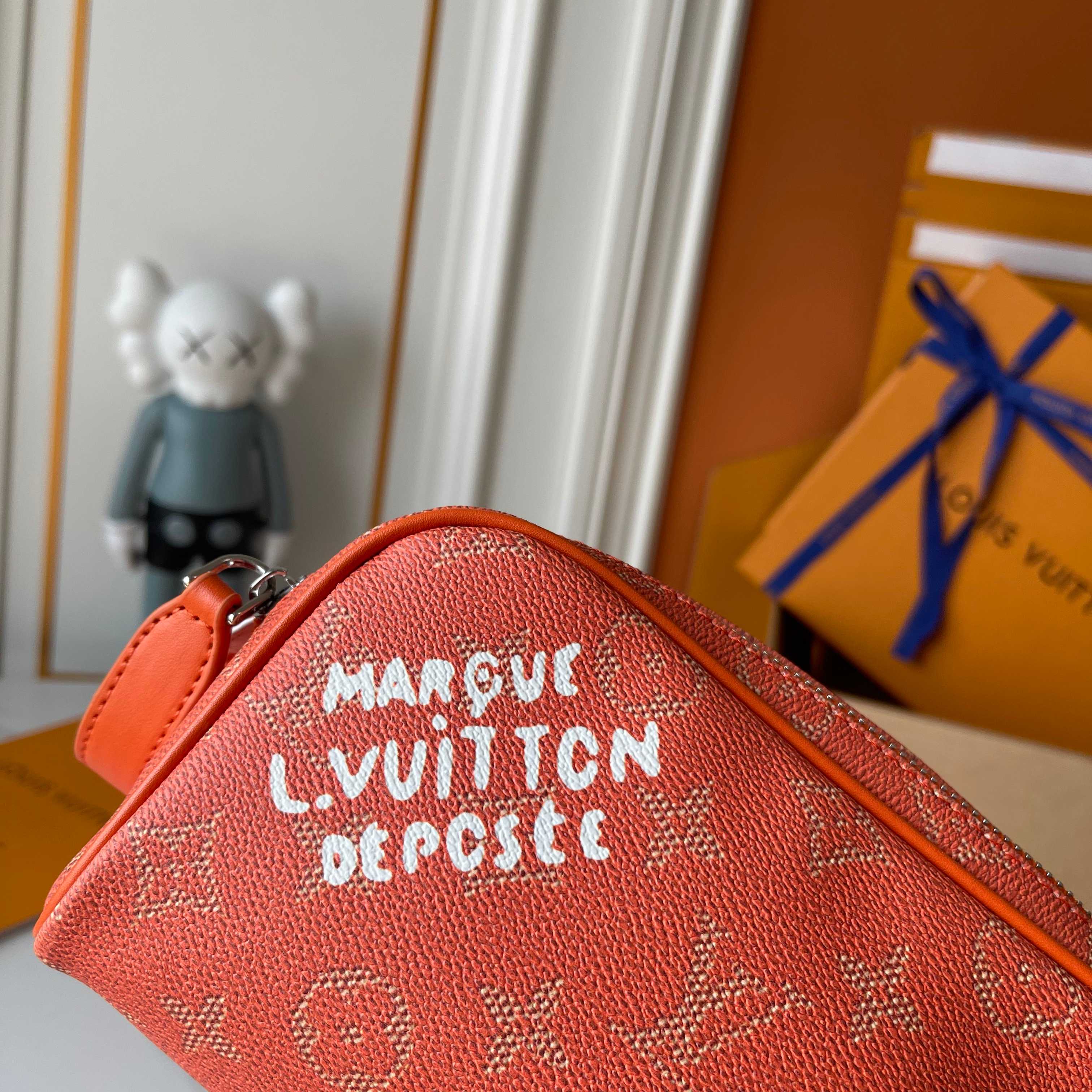 New Luxury LV Bag 10076