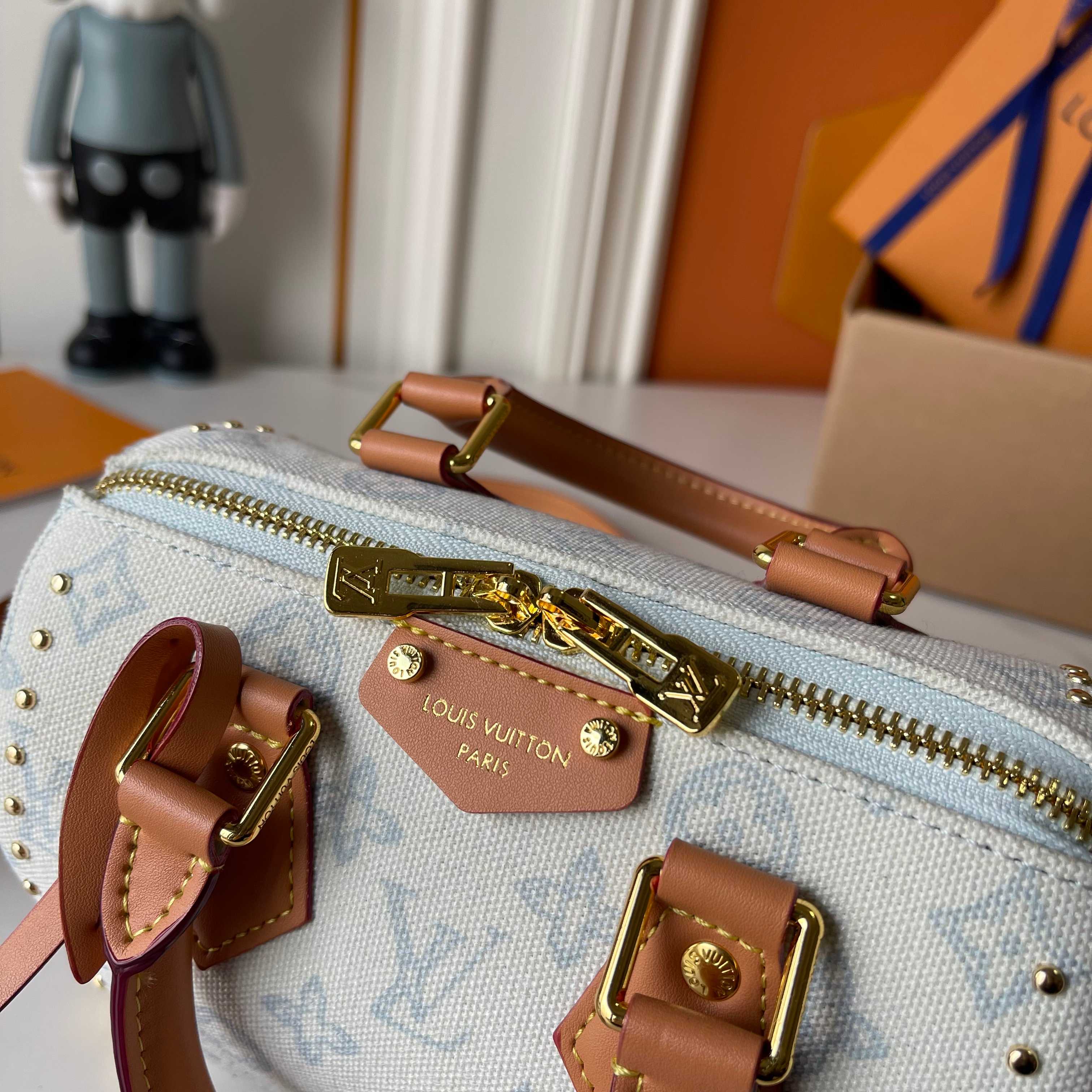 New Luxury LV Bag 10084