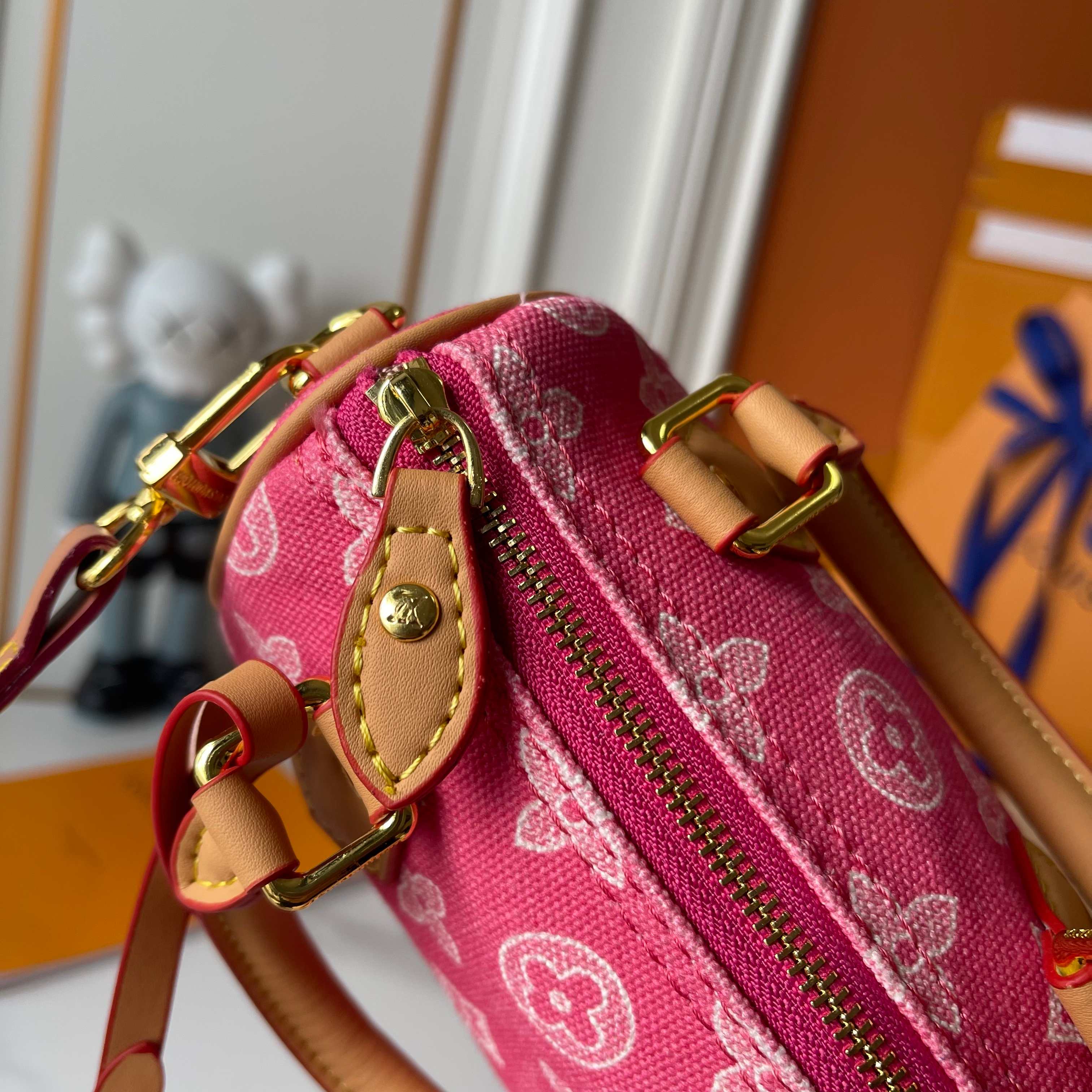 New Luxury LV Bag 10090