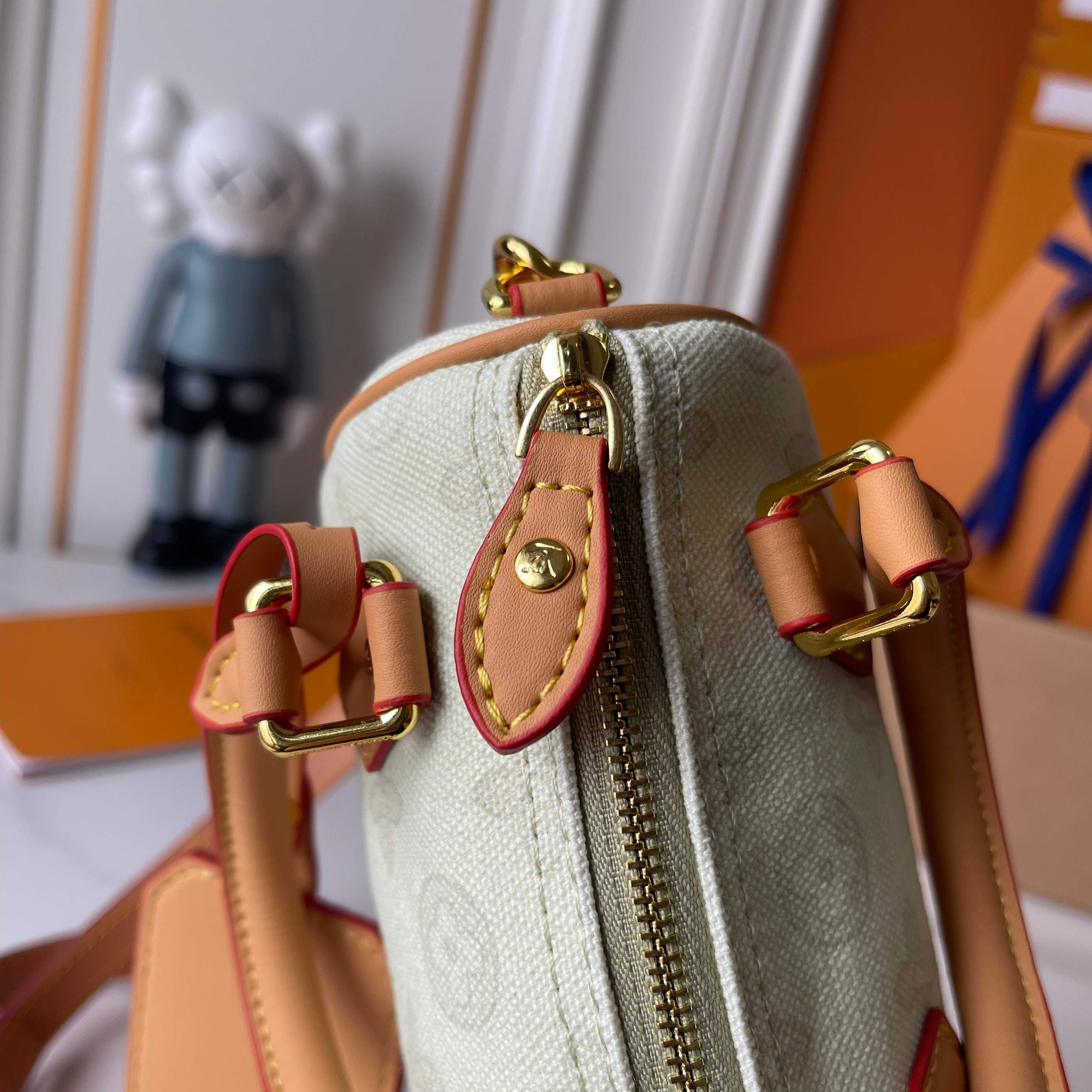 New Luxury LV Bag 10091