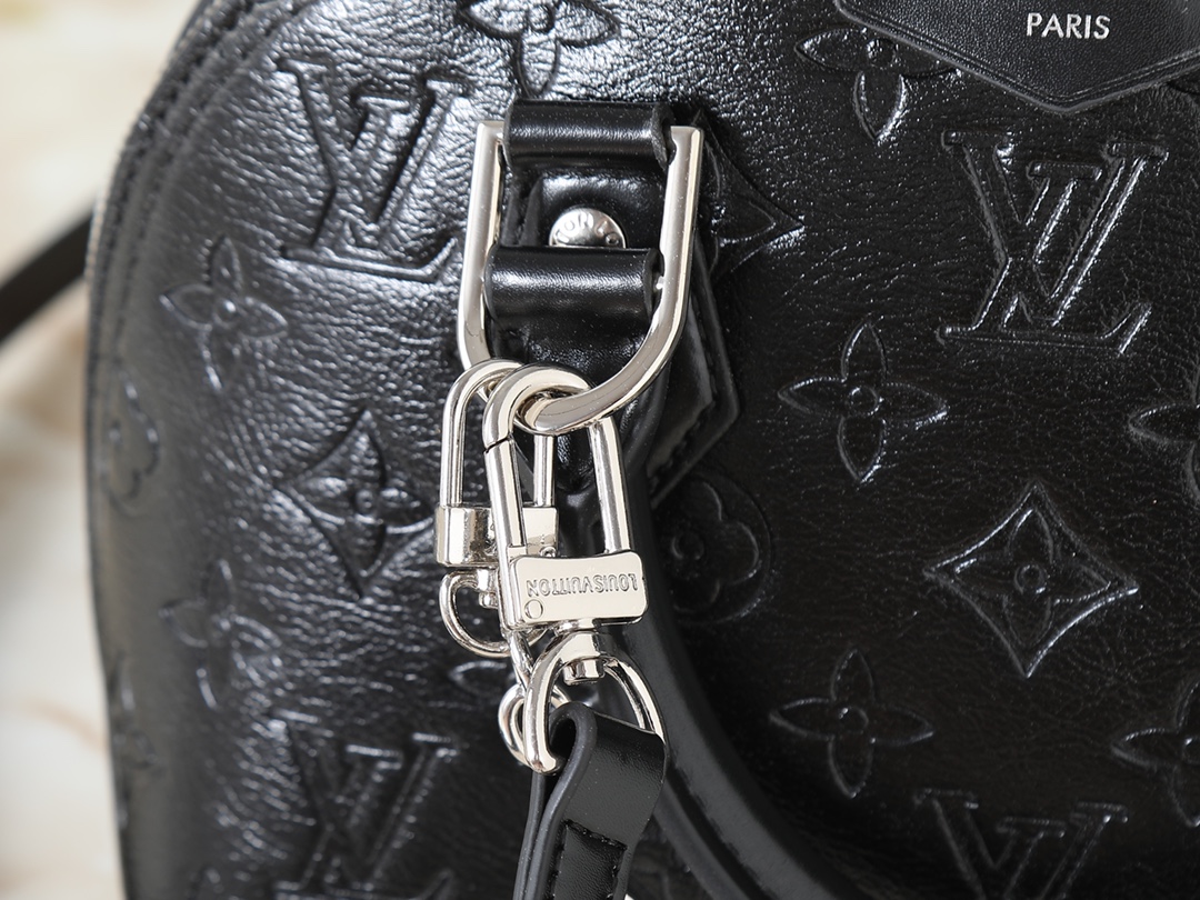 New Luxury LV Bag 10094