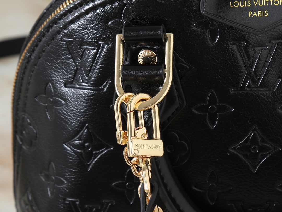 New Luxury LV Bag 10096