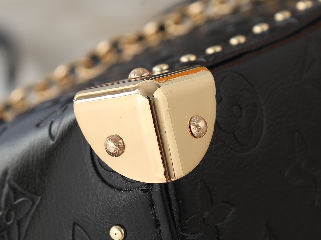 New Luxury LV Bag 10096