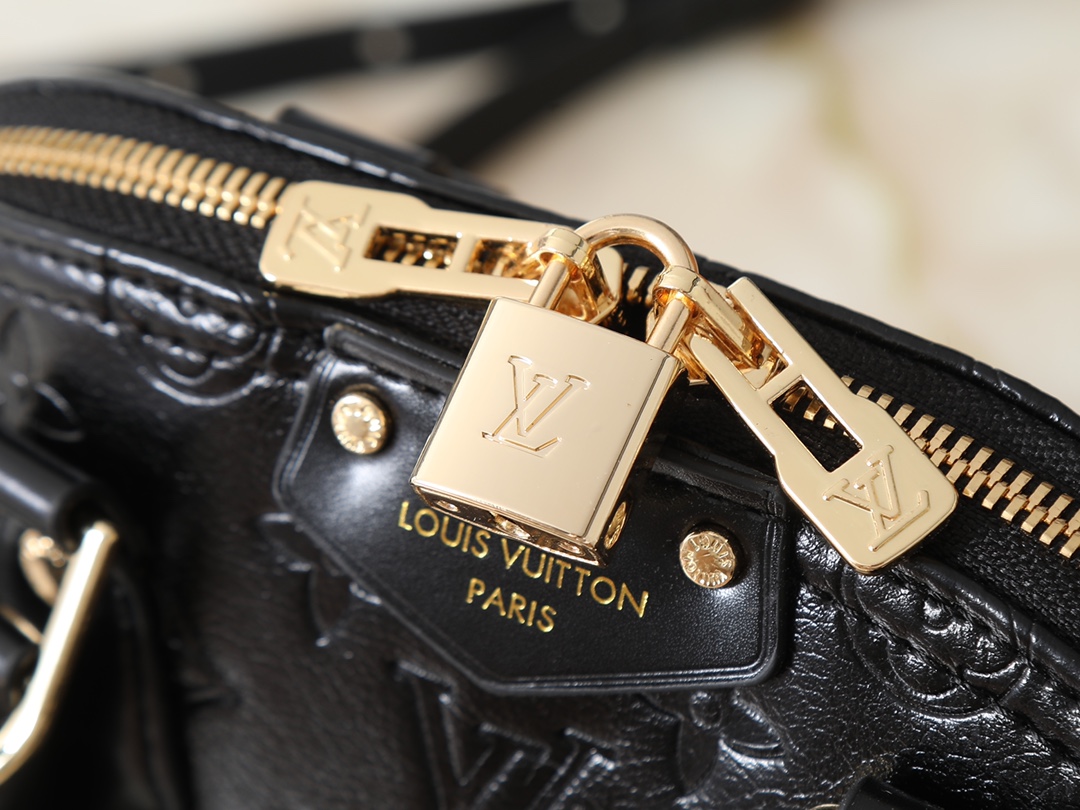 New Luxury LV Bag 10096