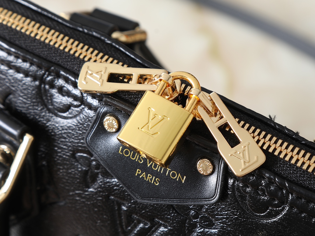 New Luxury LV Bag 10097