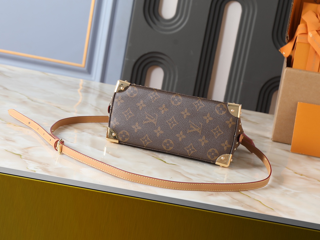 New Luxury LV Bag 10098