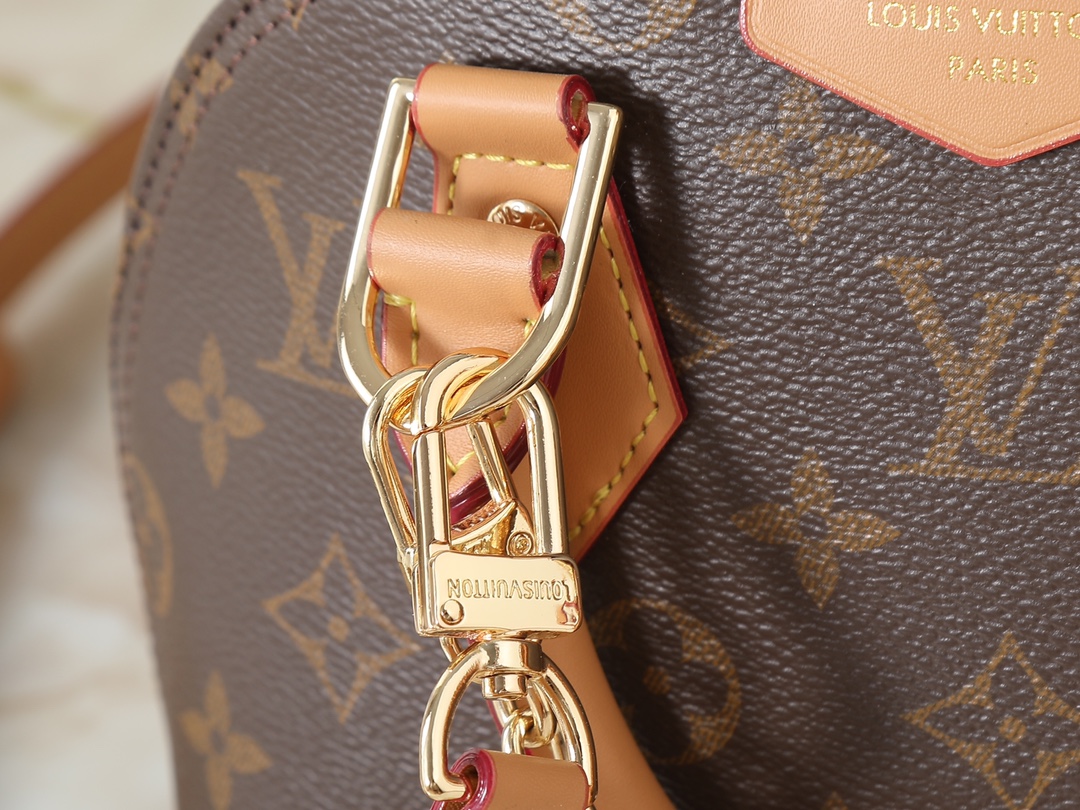 New Luxury LV Bag 10098