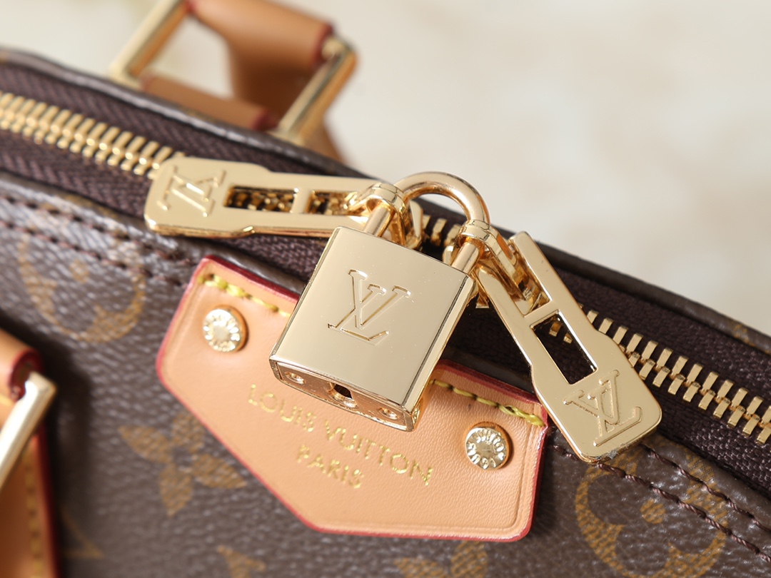 New Luxury LV Bag 10098