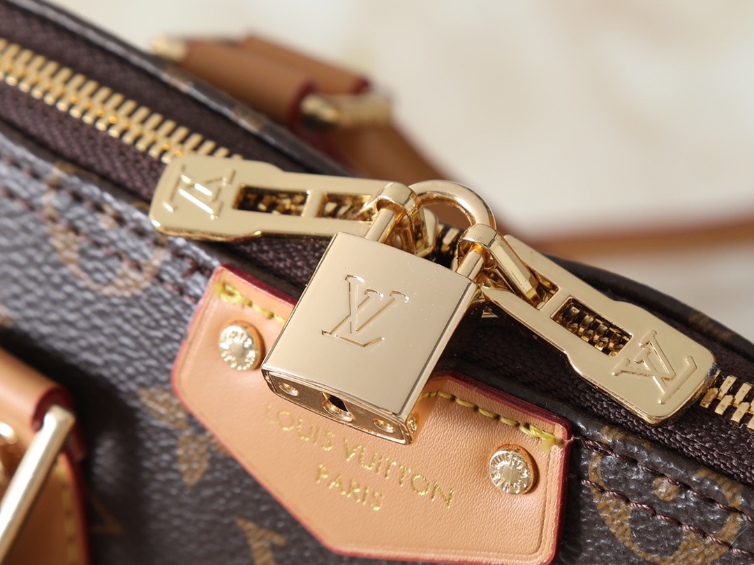 New Luxury LV Bag 10099