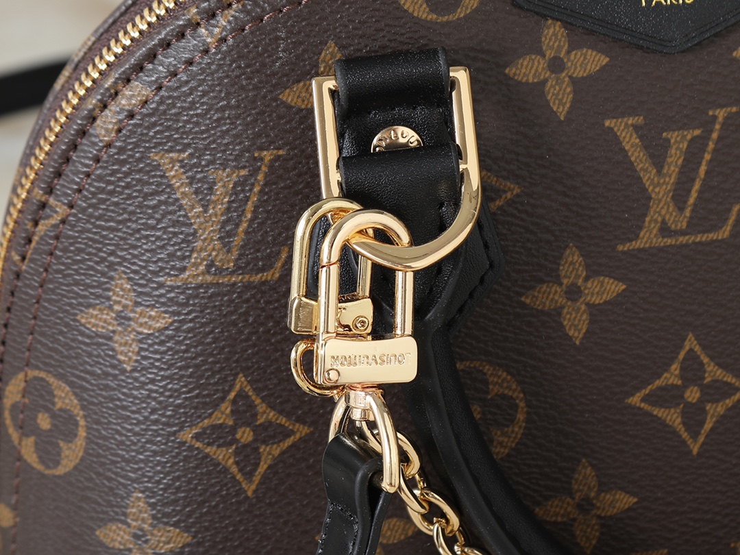 New Luxury LV Bag 10100