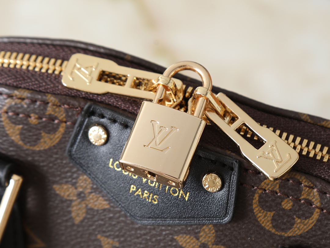 New Luxury LV Bag 10100