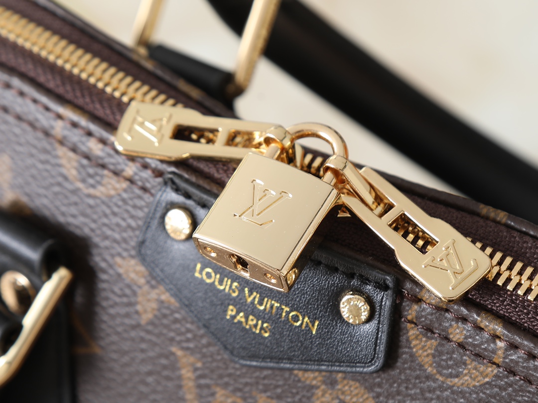 New Luxury LV Bag 10101