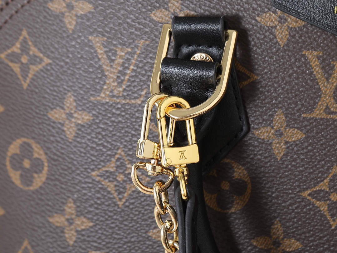 New Luxury LV Bag 10101