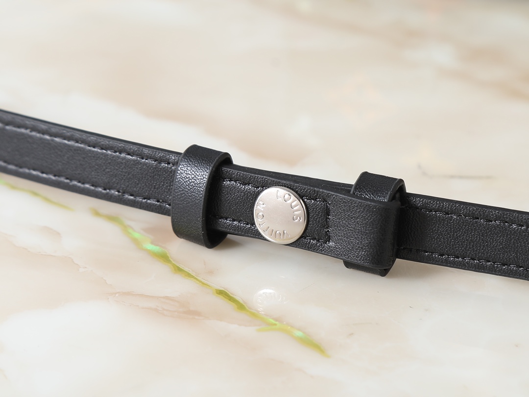 New Luxury LV Bag 10103