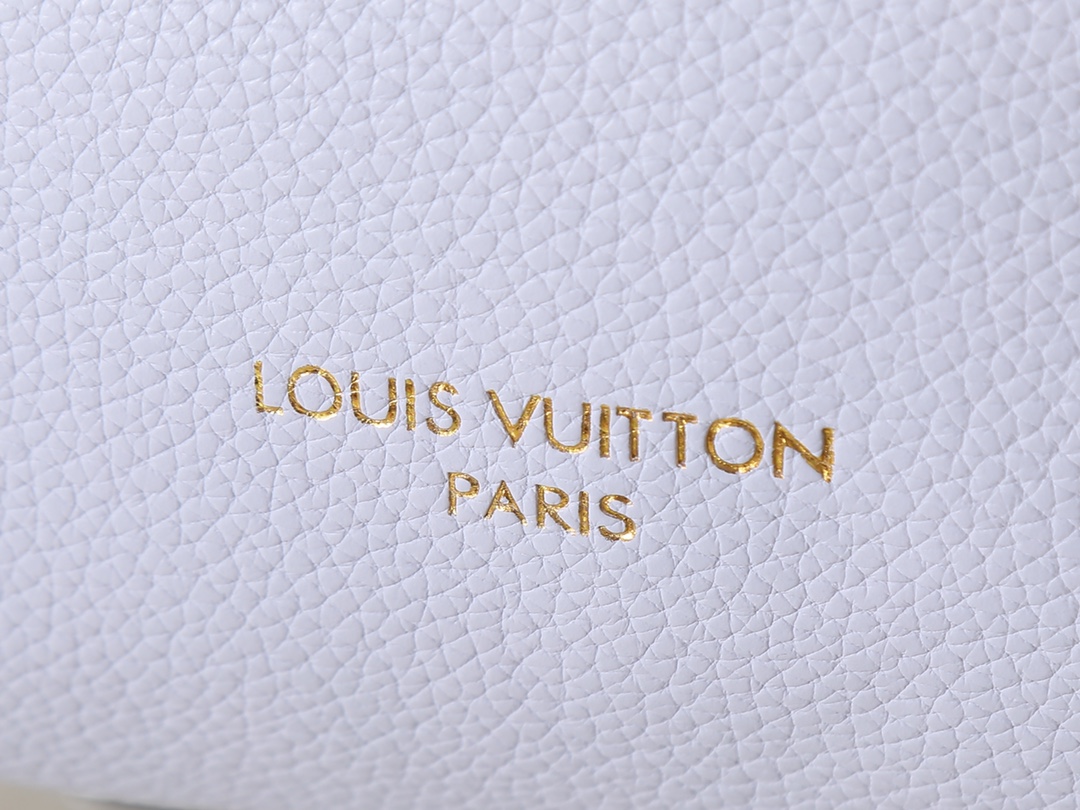 New Luxury LV Bag 10104