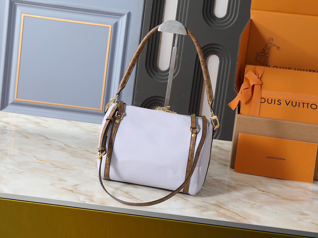 New Luxury LV Bag 10104