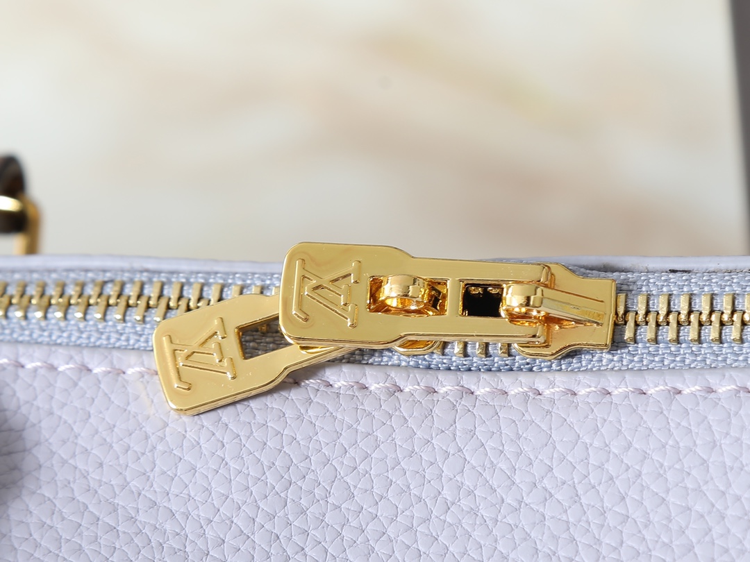 New Luxury LV Bag 10104