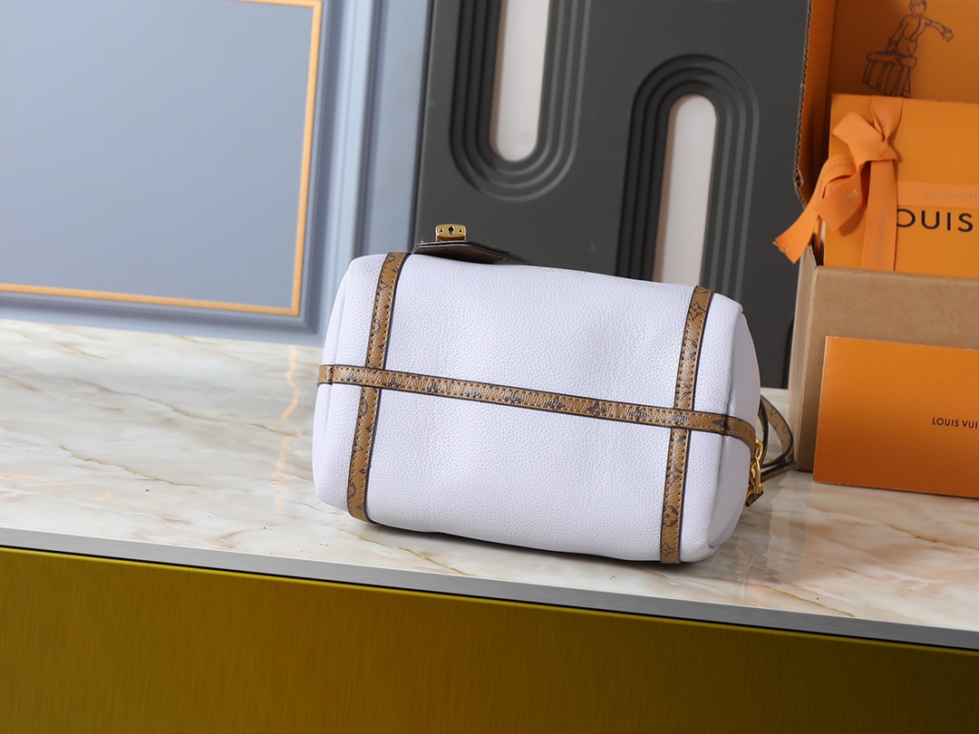 New Luxury LV Bag 10104