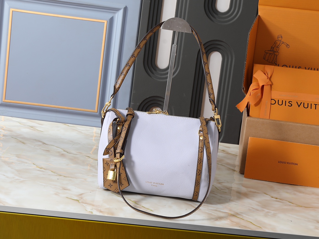 New Luxury LV Bag 10104