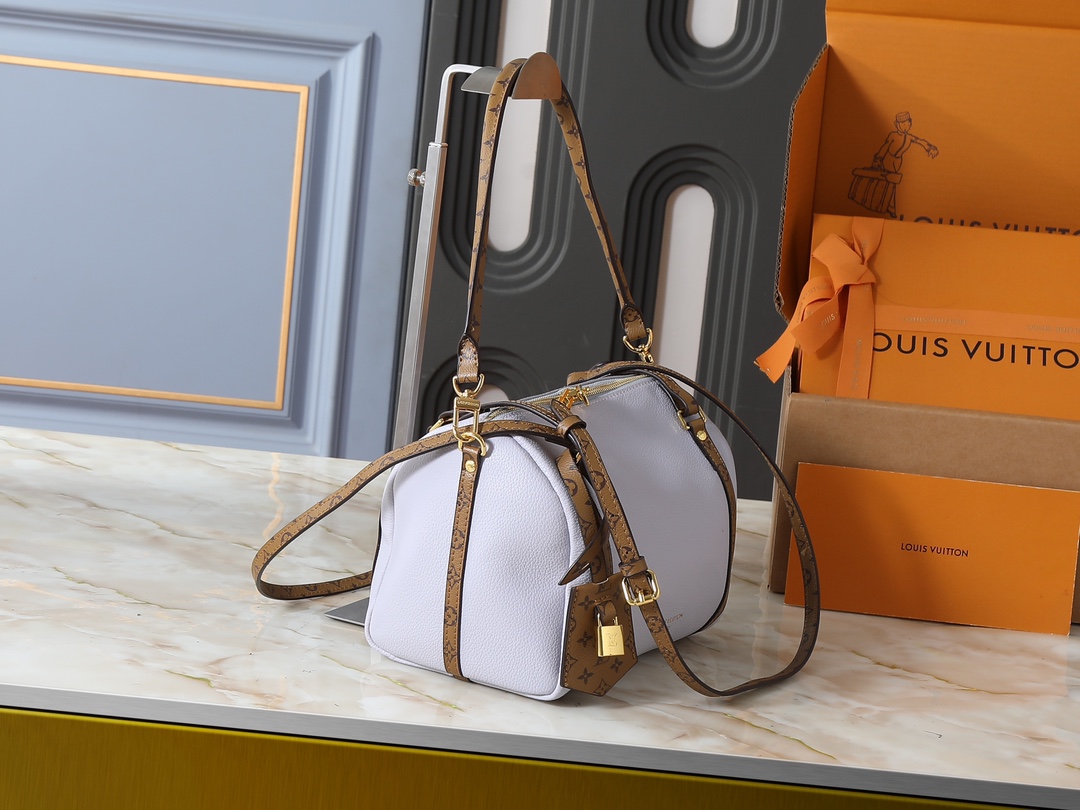 New Luxury LV Bag 10104