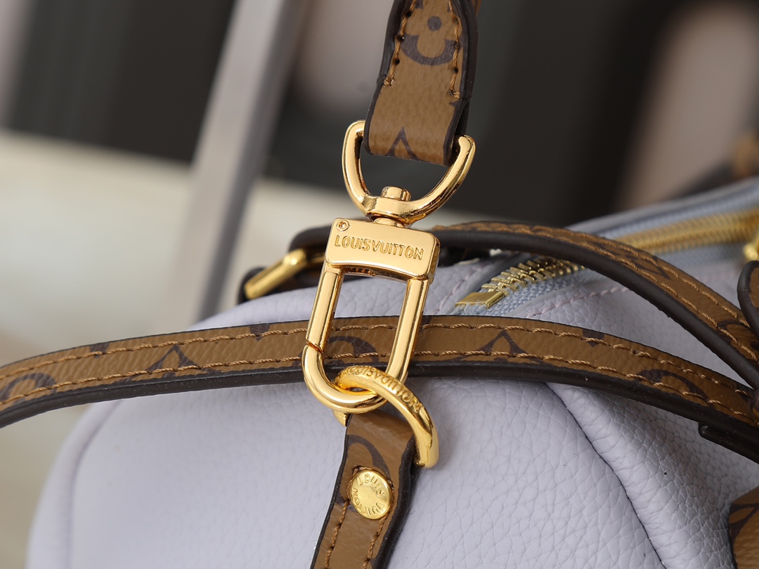 New Luxury LV Bag 10104