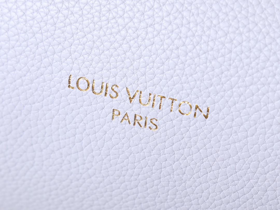 New Luxury LV Bag 10105