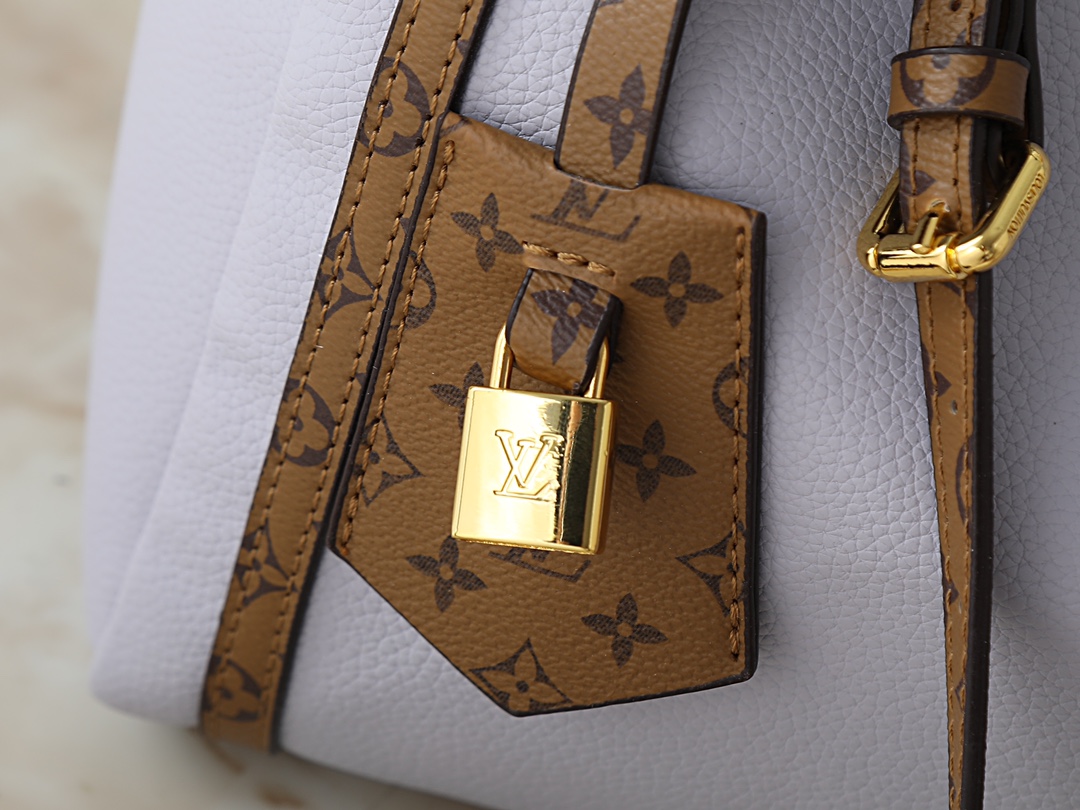 New Luxury LV Bag 10105