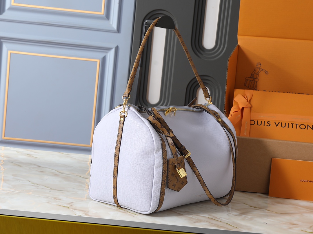 New Luxury LV Bag 10105