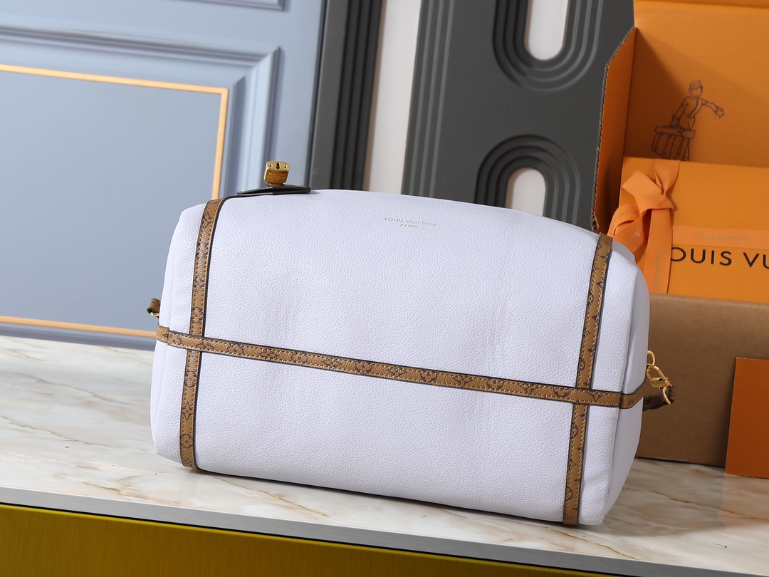 New Luxury LV Bag 10105