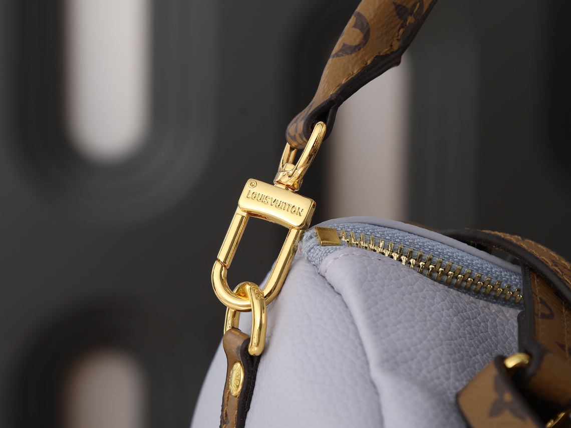 New Luxury LV Bag 10105