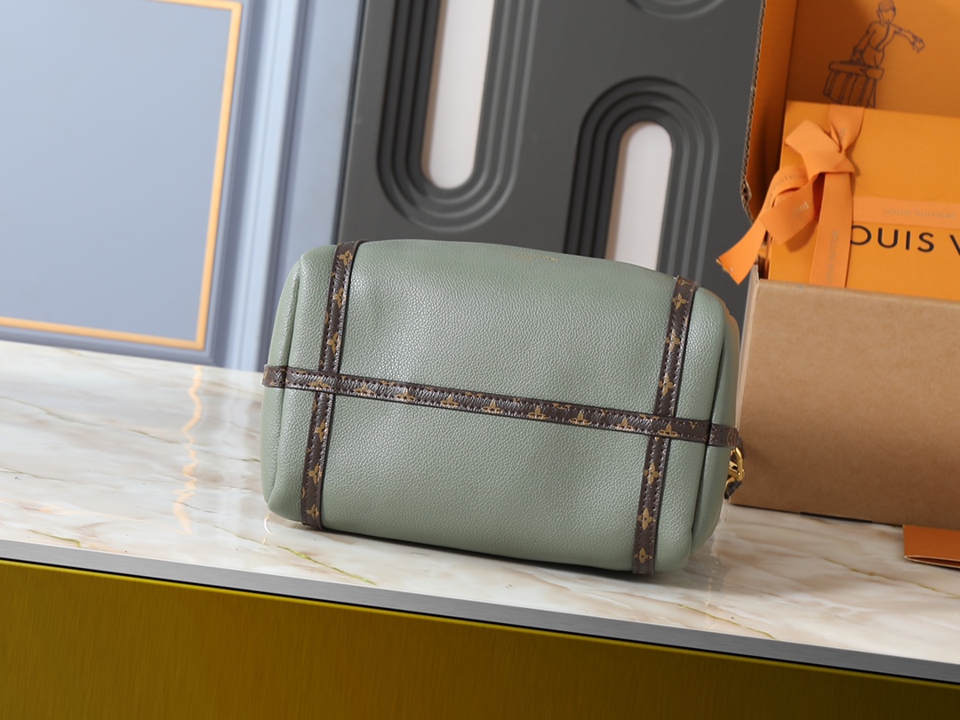 New Luxury LV Bag 10106