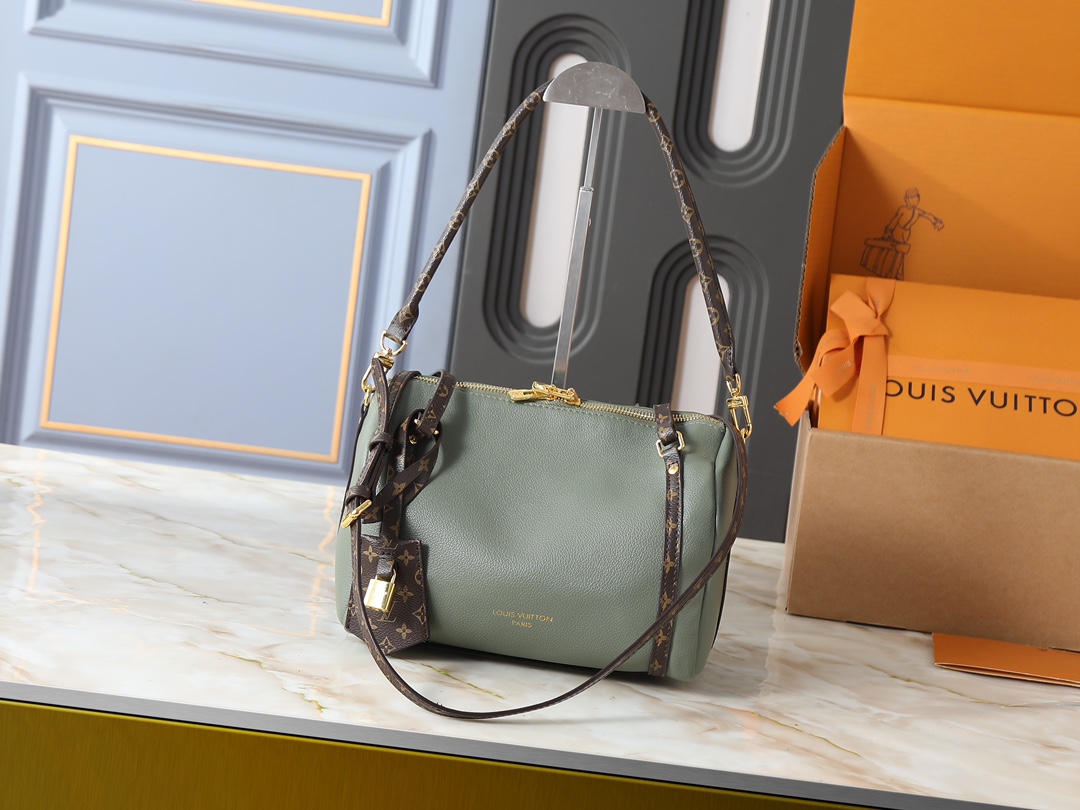 New Luxury LV Bag 10106