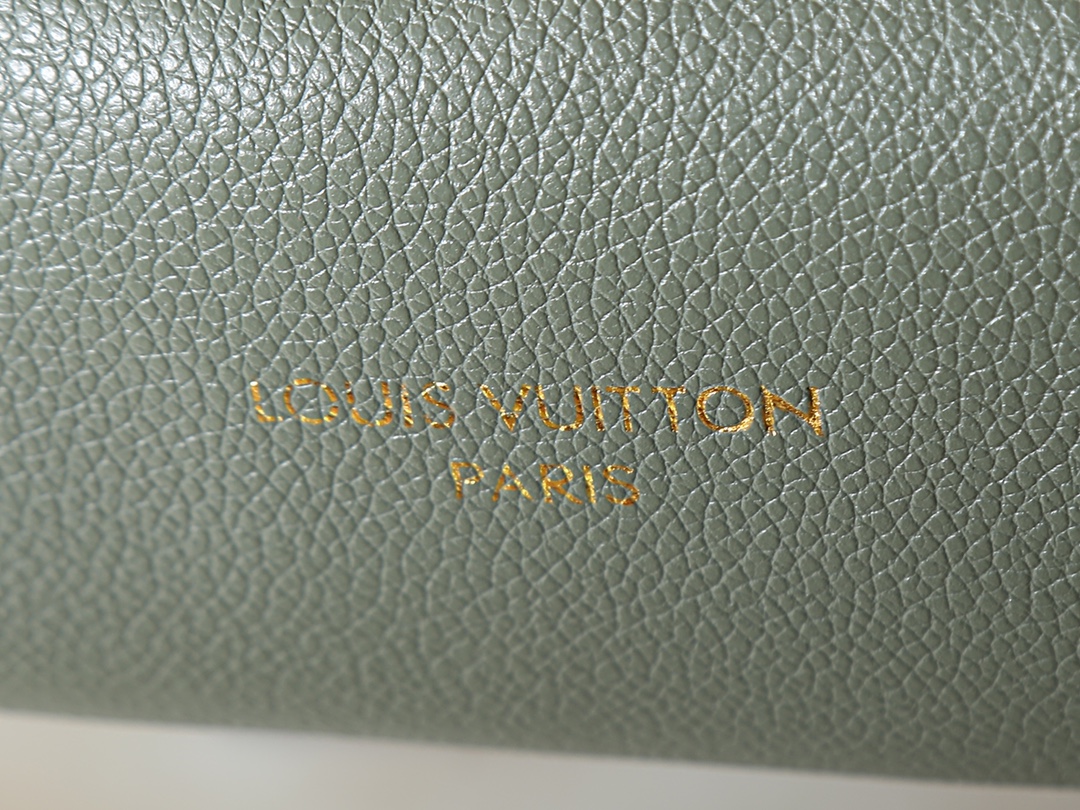 New Luxury LV Bag 10106