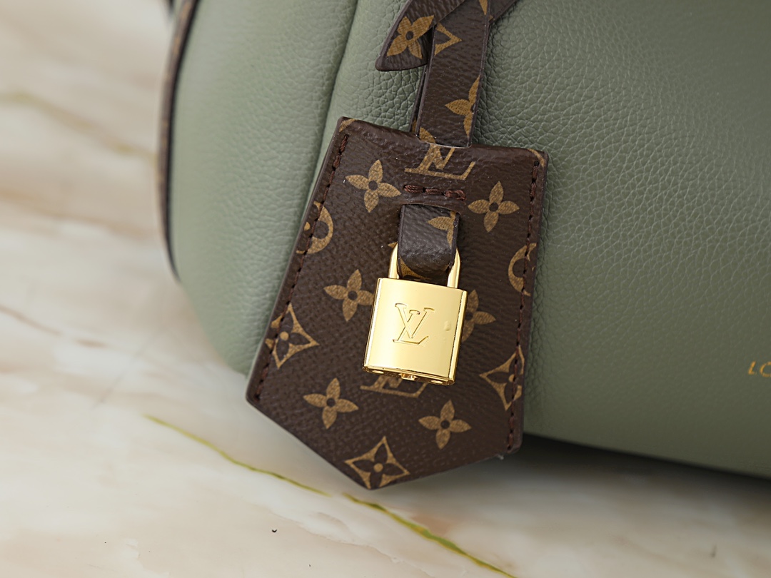New Luxury LV Bag 10106